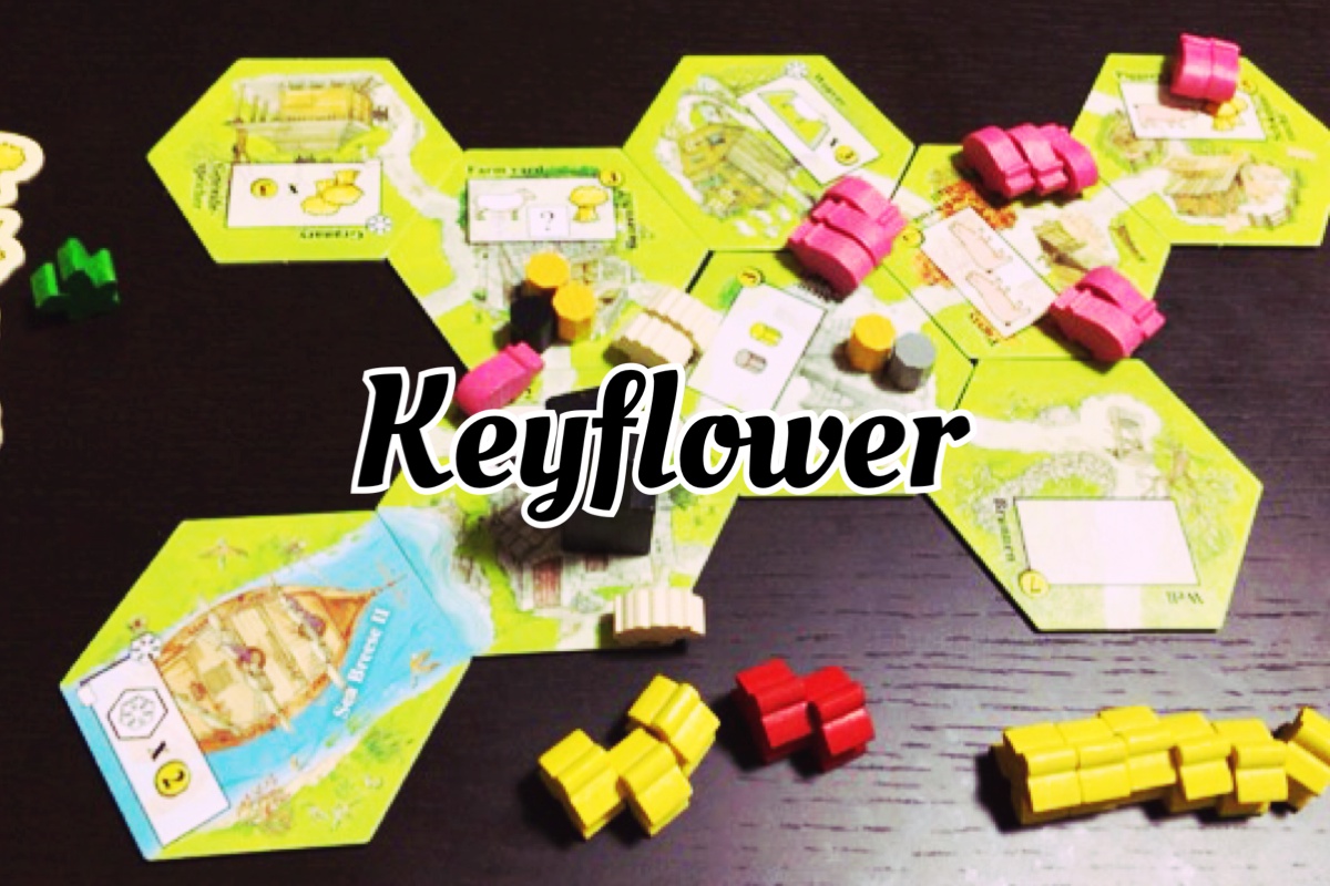 キーフラワー  Keyflower