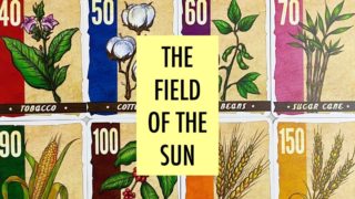 the field of the sun