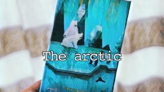 The arctic