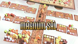 magnum sal
